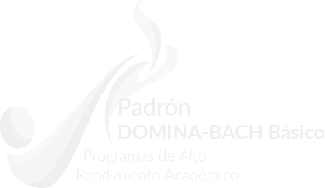 Logo padron domina