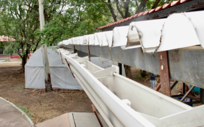 Jóvenes vieron en el agua de lluvia la oportunidad para fundar su empresa